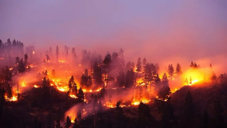 Warming Accelerates: Study Warns 1.5°C Limit Could Be Breached by 2030