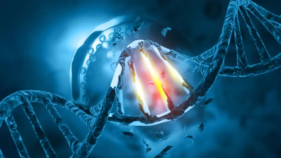 Regulators Reaffirm Sucralose Safety Despite 2023 DNA Damage Concerns