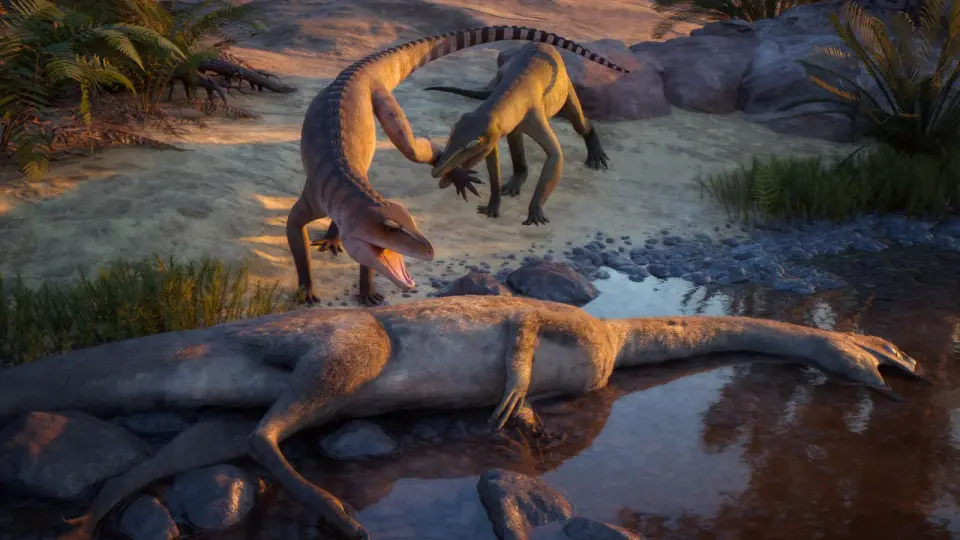 Ghost Ranch fossil gains a name, revealing a new Triassic crocodylomorph