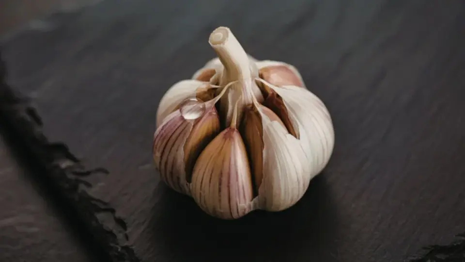 Diallyl Disulfide: Garlic’s Secret to Slowing Insect Reproduction