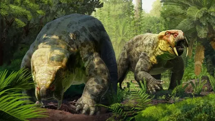 New Tanzanian Dicynodont Rewrites the Timeline for Early Dinosaurs