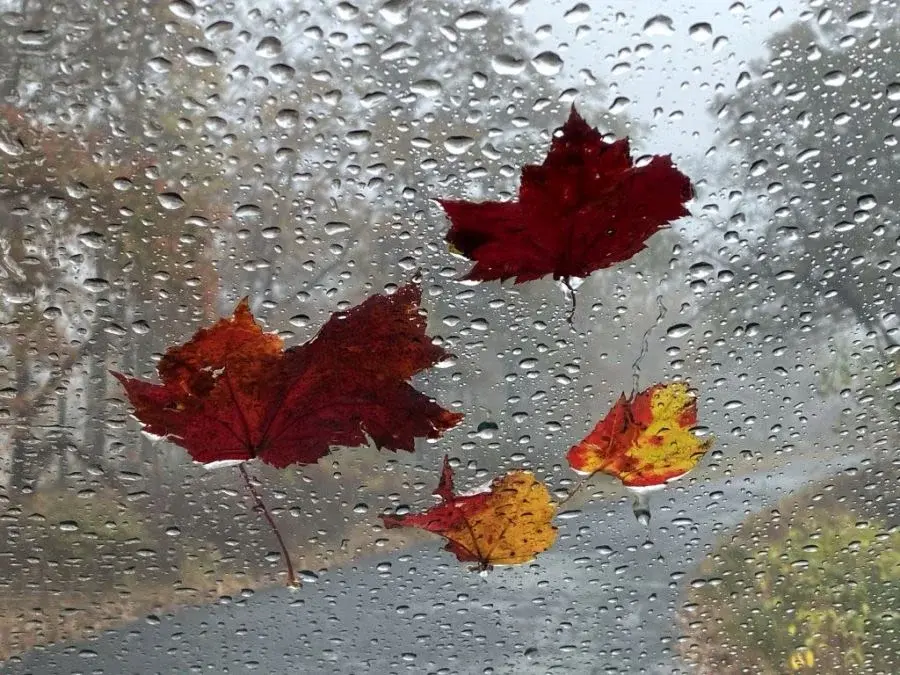 El Niño strengthens, NOAA predicts a warmer fall for most of the U.S.