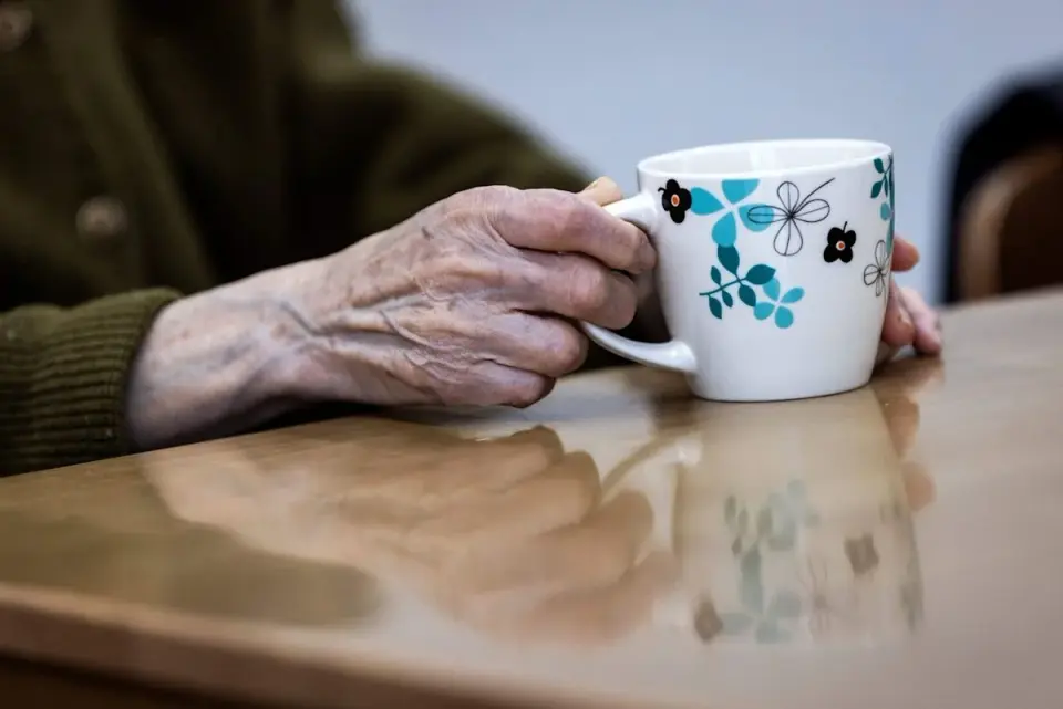 Lymph Node Immune Signals, Not Tau Tangles, May Drive Alzheimer's Brain Damage