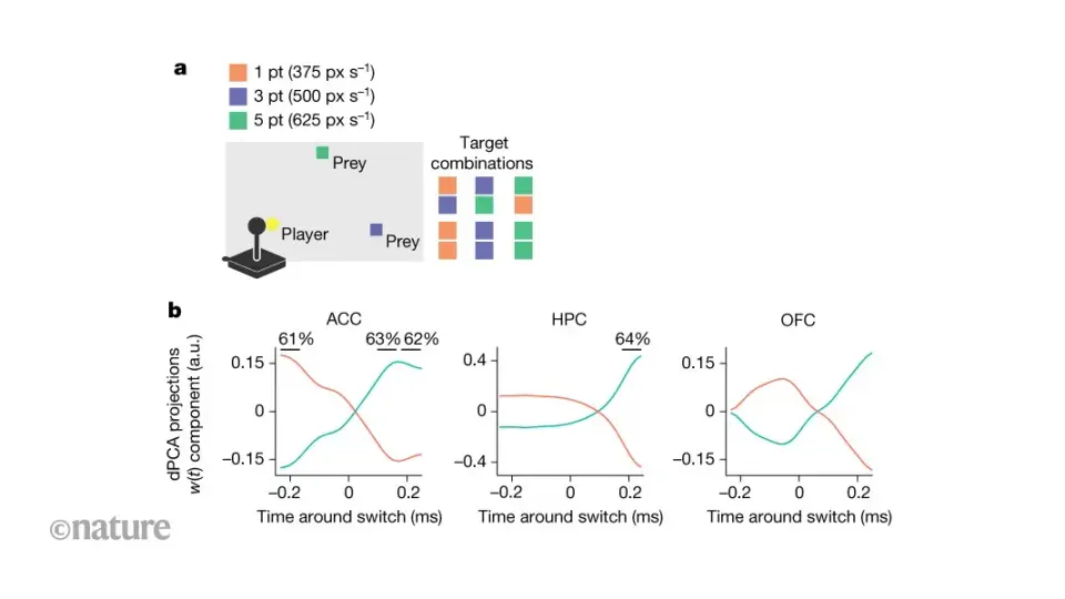 Brain blends goals to pursue multiple aims simultaneously