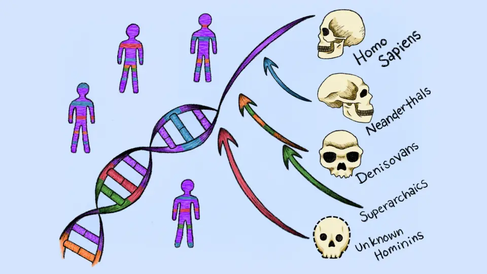 Ancient 'ghost' lineages embedded in every human genome, new study finds