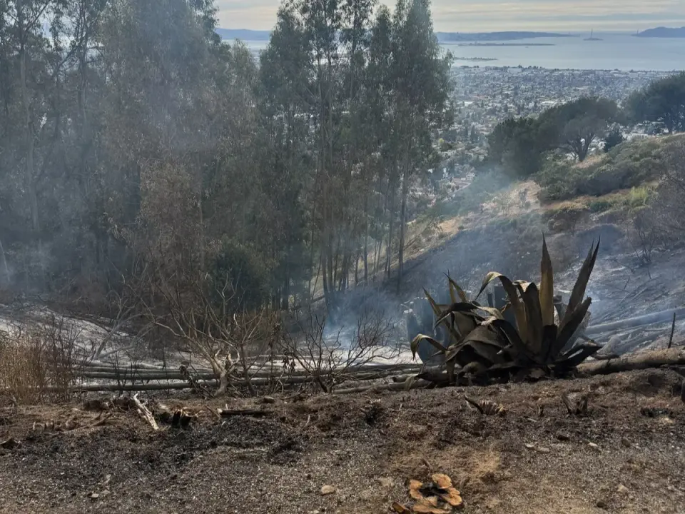 Berkeley Hills Fire Contained on 35th Anniversary of 1991 Oakland Firestorm