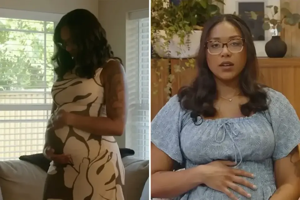 Cash-strapped surrogate seeks online donations amid multi-state custody battle
