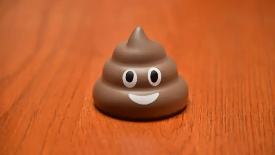 Lugworm Poop Maps Gravity-Driven Elastic Coiling, Science Confirms Emoji Shape