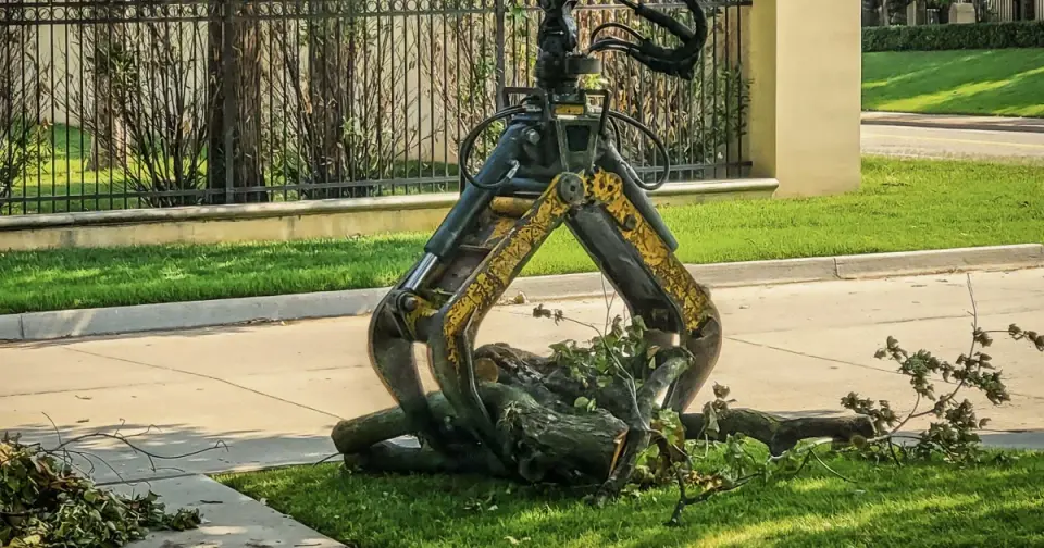 Prank on Minnesota tree crew ends in death as hydraulic grapple crushes coworker
