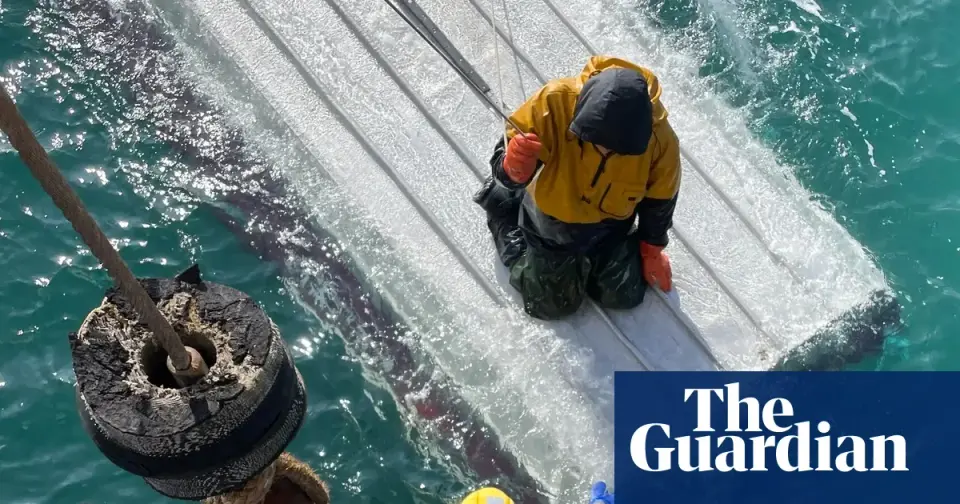 Teen survives days on capsized boat in Bering Sea after relatives drown
