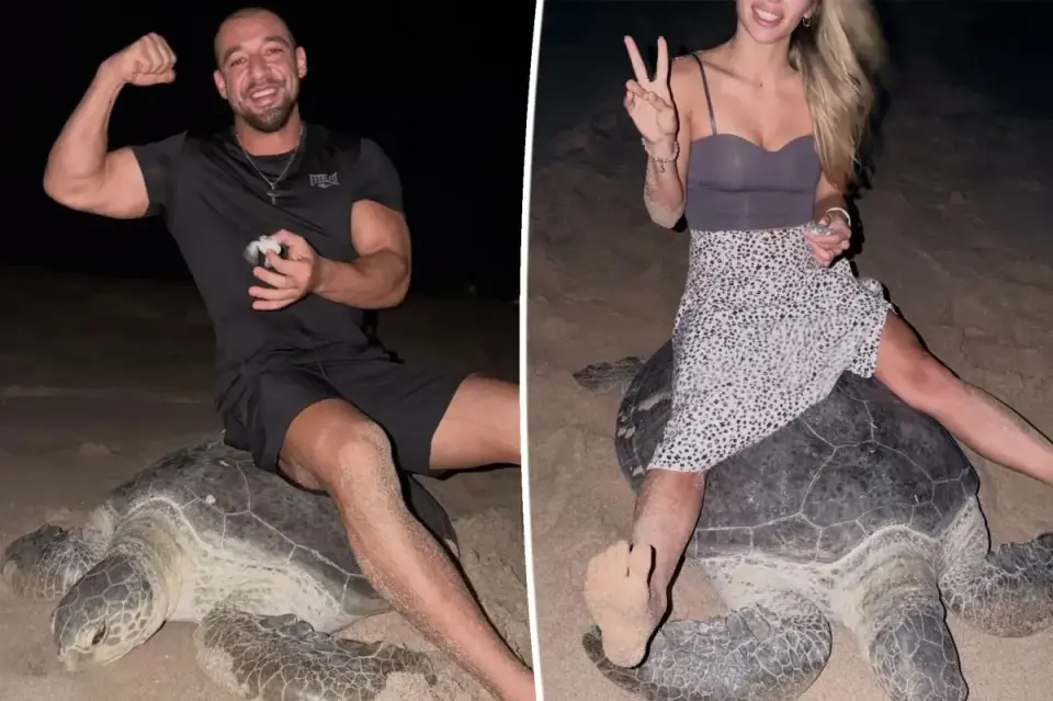 Oman Launches Legal Action Against Ukrainian Couple for Riding Nesting Sea Turtle