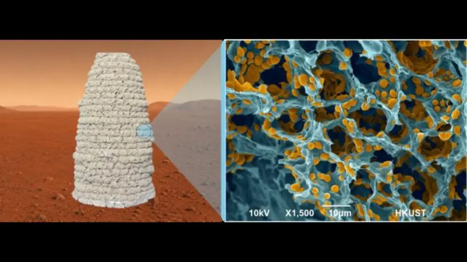 Yeast-Gelatin Bio-Concrete Aims to Build Mars Habitats