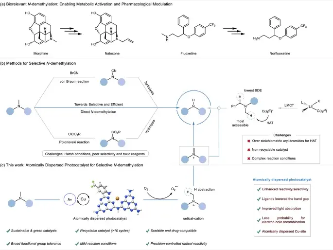Single-Atom Copper Catalyst Enables Reusable, Light-Driven N-Demethylation