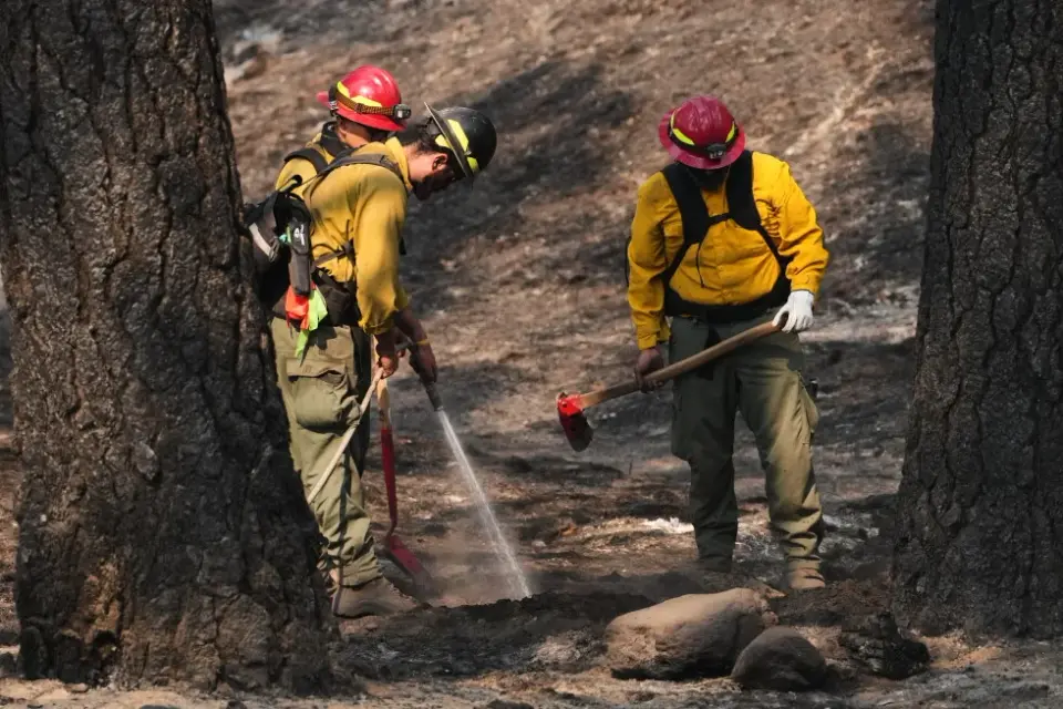 Glutathione hype for wildfire smoke under scientific scrutiny