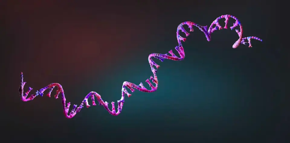 FDA's first mRNA flu shot signals broader potential for RNA therapeutics