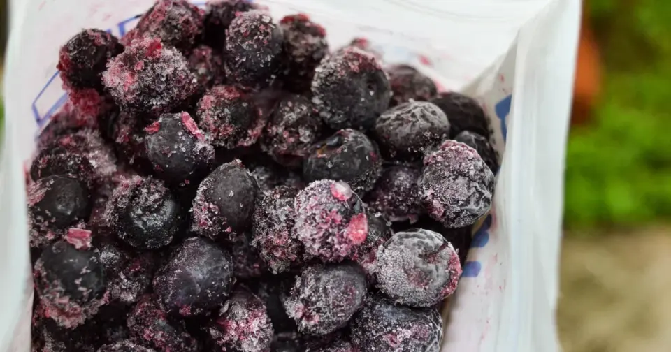 Chilean Supplier’s Third Berry Recall Hits 56 States Over E. coli