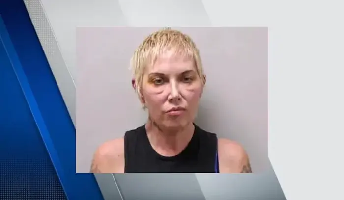 Bench warrant issued for Kim Mathers after missing hit-and-run sentencing