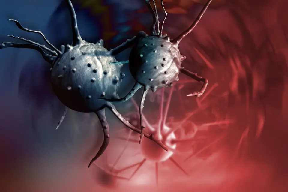 Vitamin D Analogs May Break Pancreatic Cancer’s Barrier and Boost Chemo