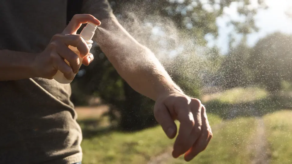 Consumer Reports Picks Lemon Eucalyptus as Top Non-DEET Bug Repellent