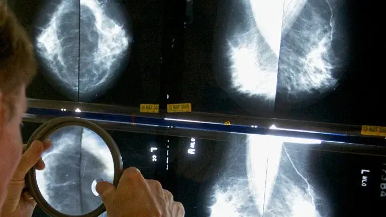 Mass. High School to Undergo Environmental Testing After Breast Cancer Diagnoses Among Female Teachers