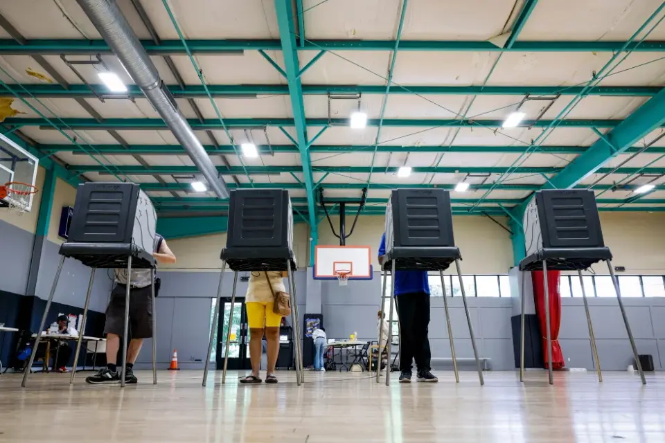Whistleblower warns DHS voter probe could violate laws