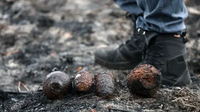 France wildfire aftermath uncovers 400+ WWII shells in Le Porge