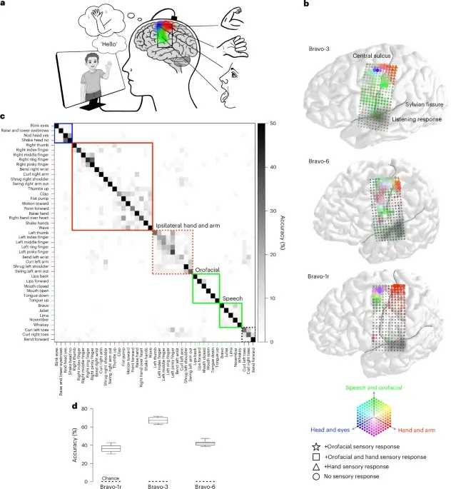 Single Brain Implant Enables Simultaneous Speech and Gesture Decoding in Paralysis