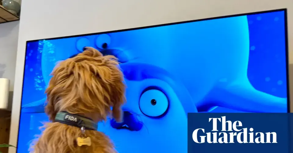 Sealook Sparks Pet Screen-Time Frenzy, But Ozzy Isn't Convinced