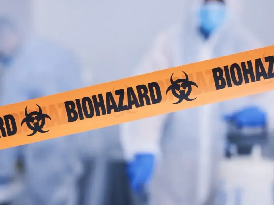 Northern California Faces Parvovirus B19 Spread: What Residents Need to Know