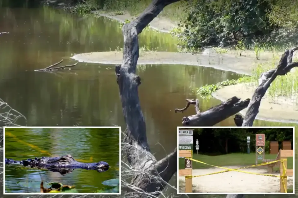 Florida Hiker Fatally Mauled by Massive Alligator in Three-Feet-Deep River