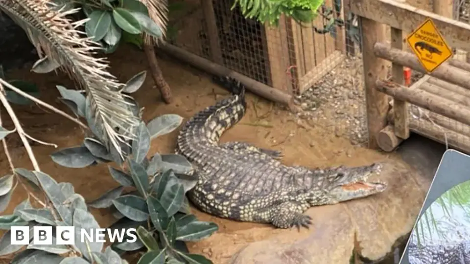 Three-year-old critically injured after crocodile attack at Cambridgeshire zoo
