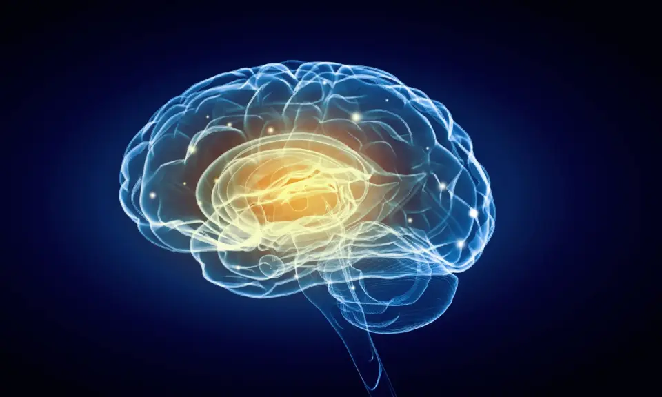 MIT reveals broader brain network supporting language