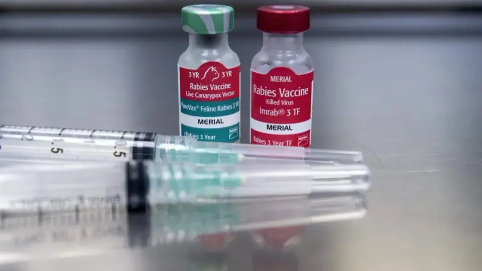 Rabies-confirmed beaver attack prompts health alert at New Jersey lake