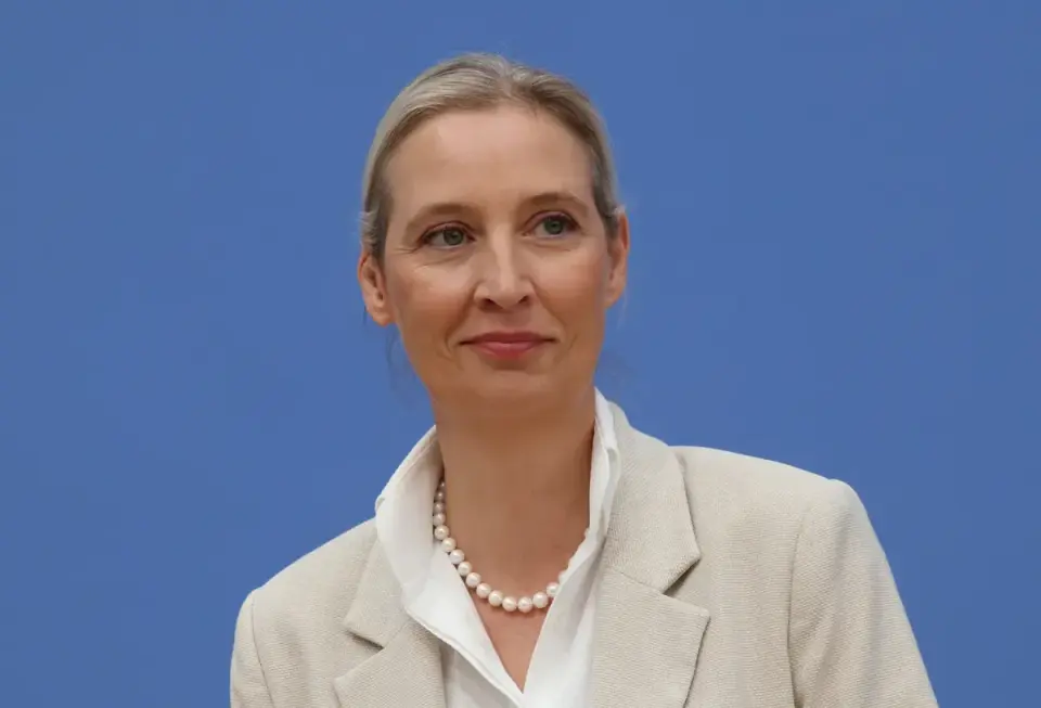 Fact-check: What the meme gets right and wrong about Alice Weidel