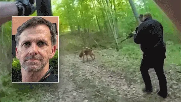 Bloodhound Guides Pursuit of Armed Special Forces Fugitive in Tennessee Woods