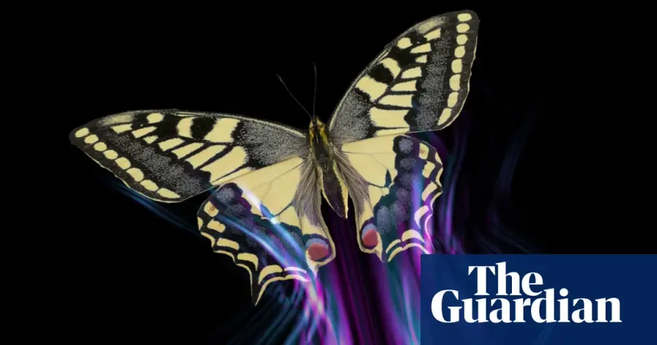 Butterflies Use Wing Patterns to Create Motion Illusions That Confuse Predators