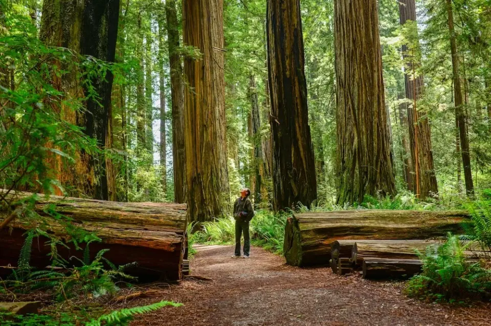 Lonely Planet’s 2027 Travel Guide Highlights Seven U.S. Destinations and Global Experiences