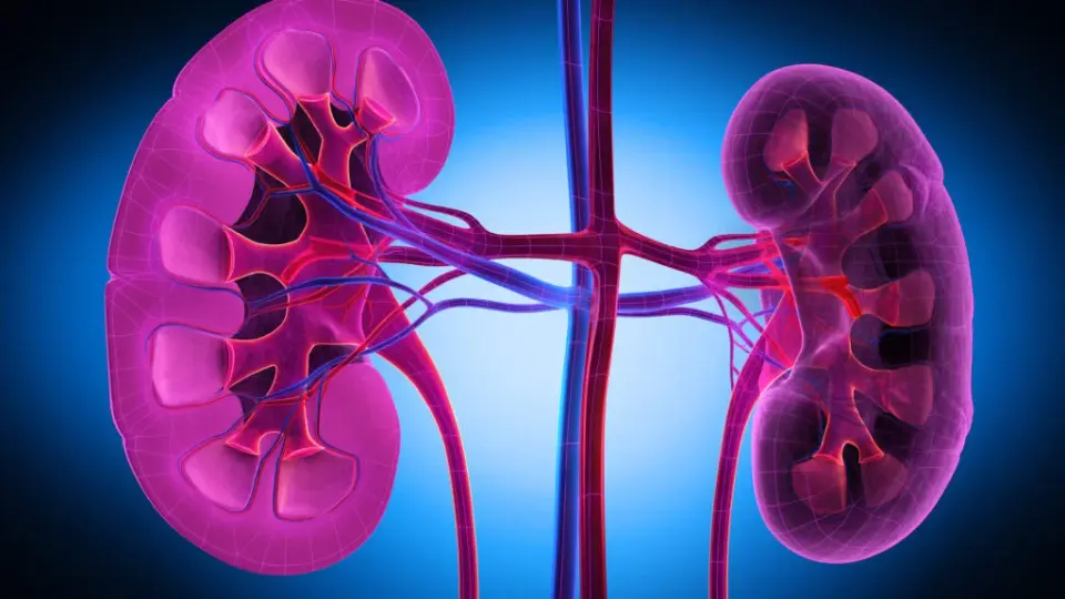FDA approves Vera Therapeutics’ Trutakna for autoimmune kidney disease IgA nephropathy