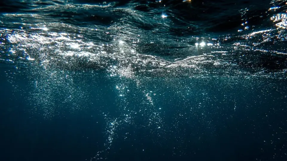 Oceans Run Low on Oxygen, Threatening Earth's Balance