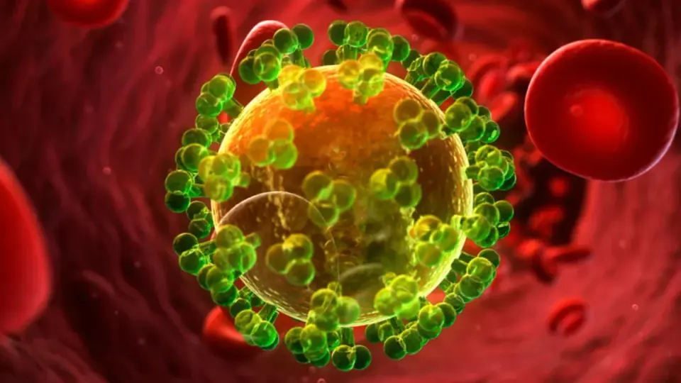Single Antibody Dose Maintains Four-Year HIV-Like Virus Remission in Infant Monkeys