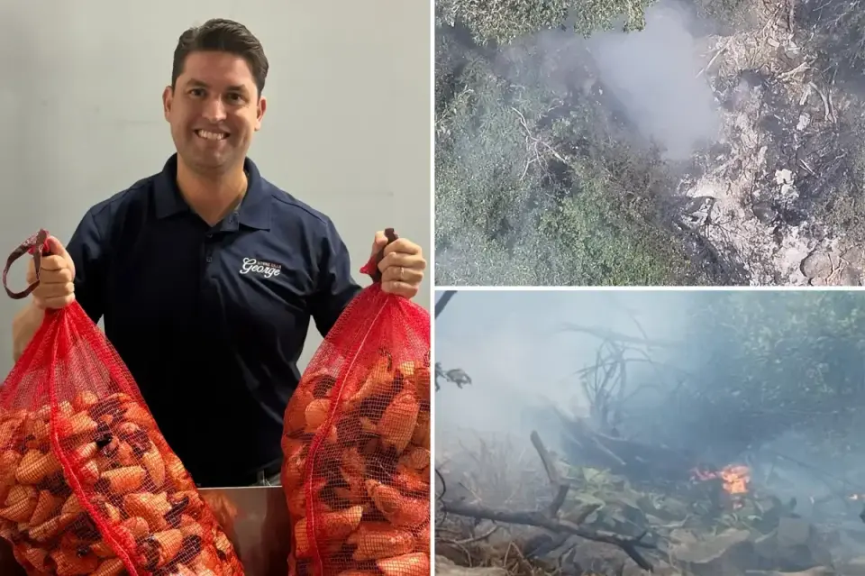 Forbes 30 Under 30 Alum Roger Duarte Killed in Kenyan Helicopter Crash