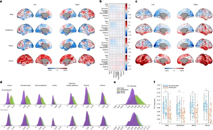 Psilocybin reshapes brain dynamics to mirror context and cue lasting change