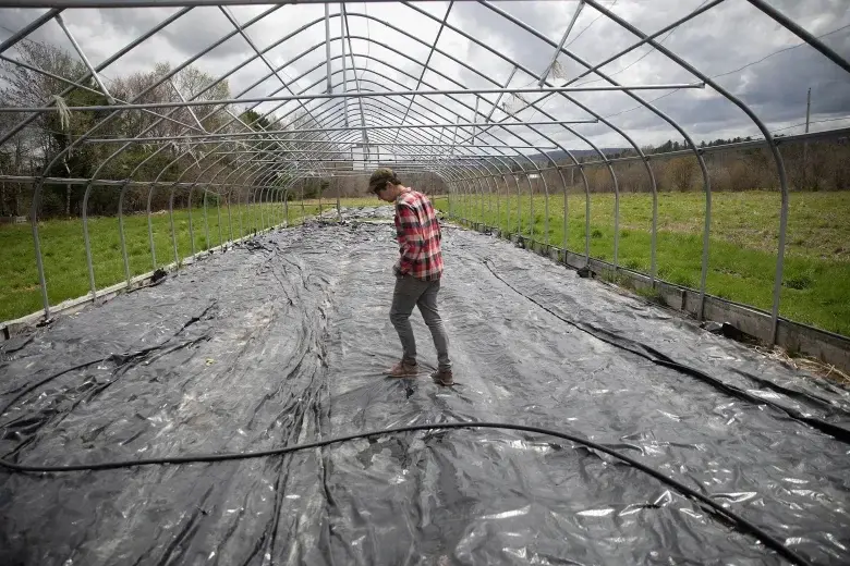 Maine bets on mental health support to help PFAS-impacted farmers