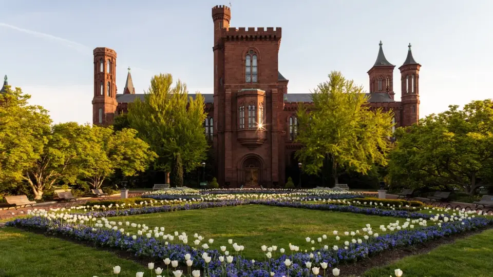 Smithsonian Castle Reopens on the National Mall With Artifacts and a Lobster Rolls Café