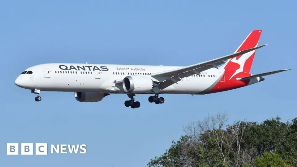 Qantas Grounds Flight Amid Bedbug Outbreak