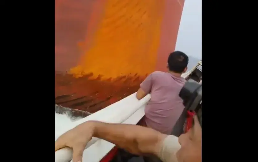 Panama-flagged bulker strikes Chinese fishing boat off Singapore, no casualties reported
