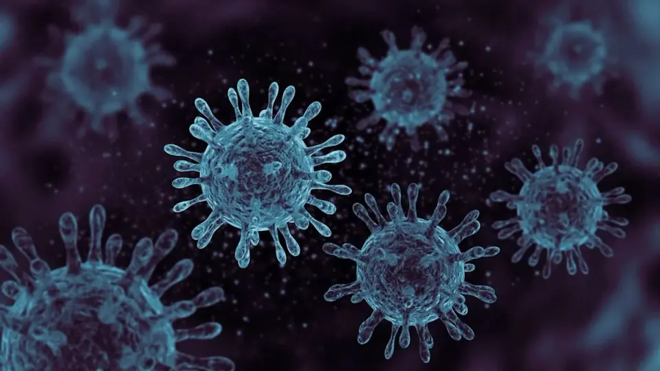 AI designs 16 novel viruses from DNA patterns learned across trillions of nucleotides