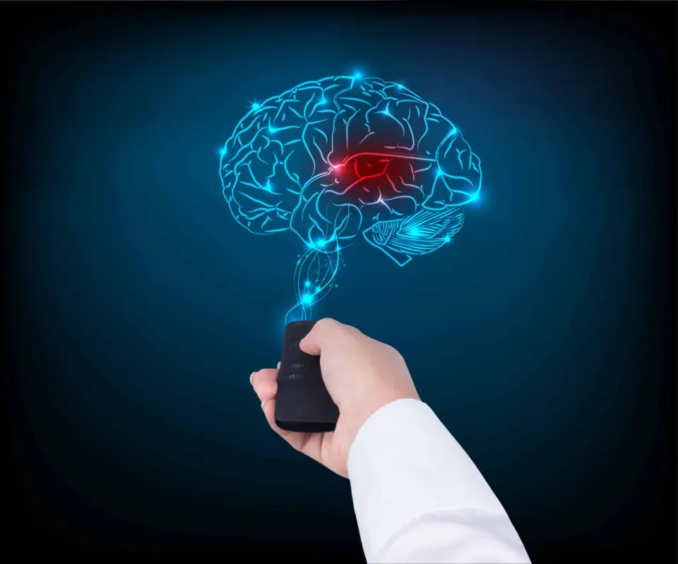 22-Year Study Links Frequent TV Watching to Brain Shrinkage, While Desk Sitting Shows Protective Effects