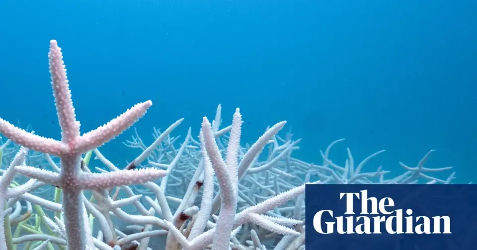 Oceans Absorb Record Heat, Accelerating Sea Level Rise and Ecosystem Collapse