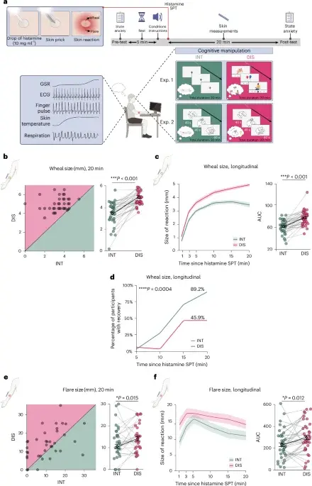 Focused attention on bodily sensations dampens acute inflammation via brain–body pathways